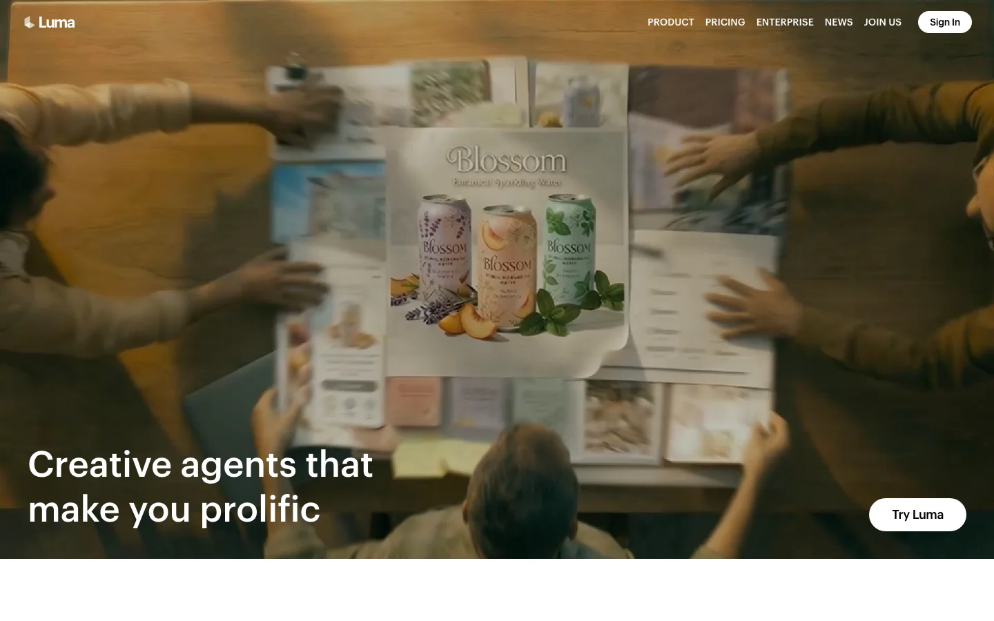 Luma Labs's interface